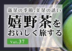 佐賀県観光情報あそぼ-さが～今月のココイコ～