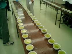 平成十六年度産うれしの新茶初入札会