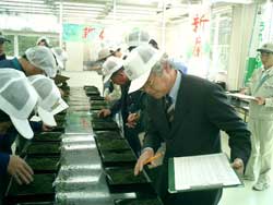 平成十六年度産うれしの新茶初入札会