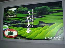うれしの茶空港でＰＲ