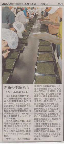 早くも新茶の季節です。