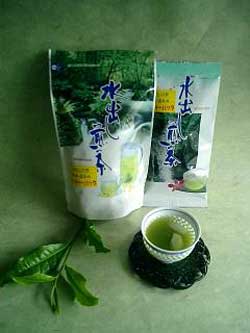 水出し煎茶好評発売中!!