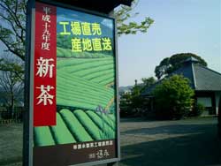 美味しい新茶が出来ました。