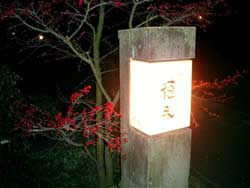 満開の桜