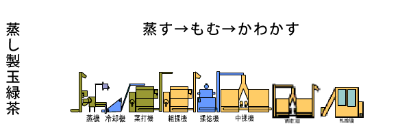 蒸し製玉露茶 蒸す→もむ→形を整える→かわかす