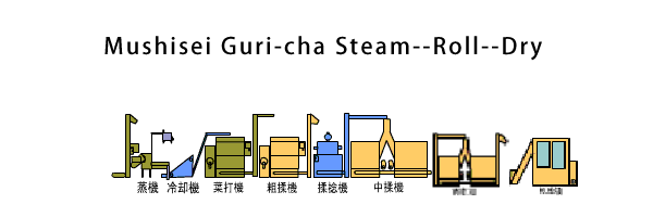 Mushisei Guri-cha Steam--Roll--Form/Shape--Dry